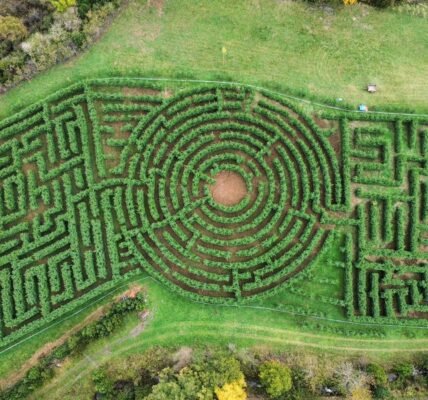 Laberintos: el significado oculto de los jardines que son mucho más que puro entretenimiento